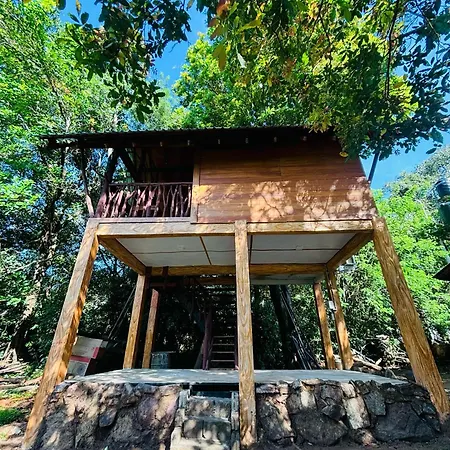 Woodholic Homestay Sigiriya Exterior foto