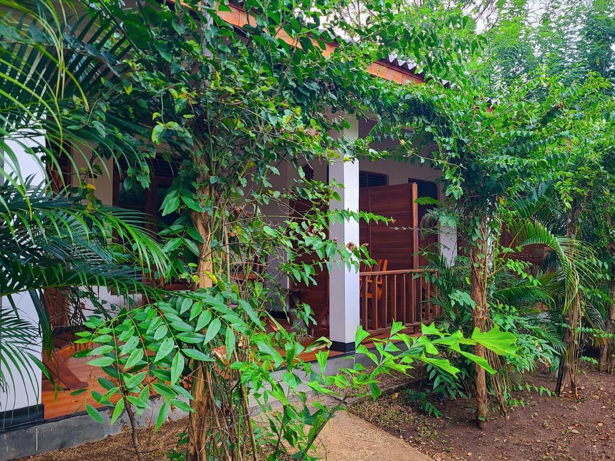 Woodholic Sigiriya